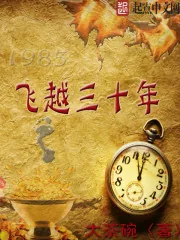 《飞越三十年》小说封面