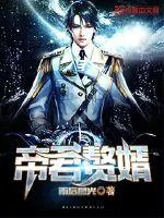 《帝君赘婿》小说封面