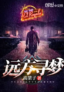 《远方寻梦》小说封面