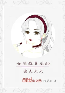 《女总裁身后的煮夫大大》小说封面