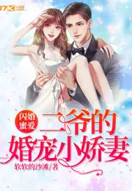 《二爷的婚宠小娇妻》小说封面