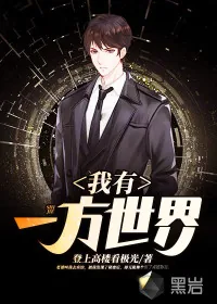 《我有一方世界》小说封面