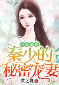 《蚀骨蜜爱:秦少的秘密宠妻》小说封面