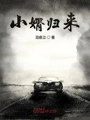 《小婿归来》小说封面