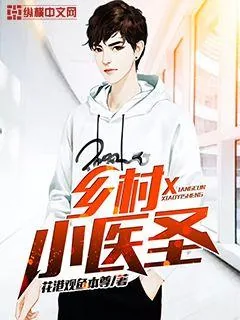 《乡村小医圣》小说封面