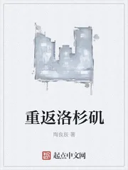 《重返洛杉矶》小说封面