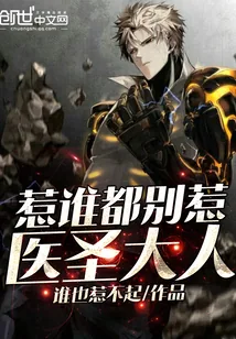 《惹谁都别惹医圣大人》小说封面