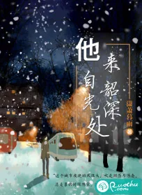 《他来自韶光深处》小说封面