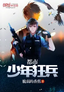 《都市少年狂兵》小说封面