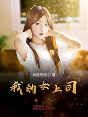 《我的女上司》小说封面