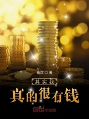 《其实我真的很有钱》小说封面