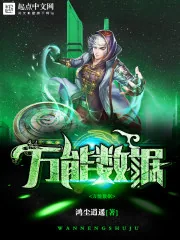 《万能数据》小说封面