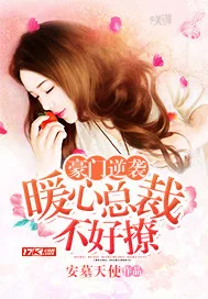 《豪门逆袭:暖心总裁不好撩》小说封面