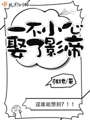 《一不小心娶了影帝》小说封面