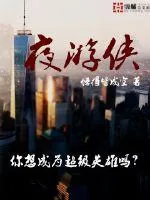 《夜游侠》小说封面