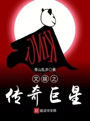 《文娱之传奇巨星》小说封面