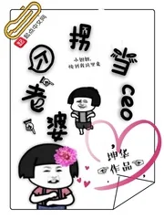 《拐个老婆当ceo》小说封面
