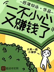 《一不小心又赚钱了》小说封面