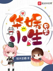 《华娱小生日常》小说封面
