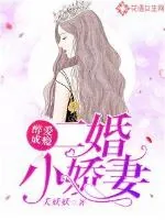 《醉爱成瘾:二婚小娇妻》小说封面