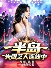 《半岛：失眠艺人连线中》小说封面