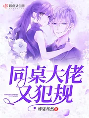 《同桌大佬又犯规》小说封面