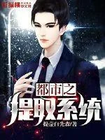 《都市之提取系统》小说封面
