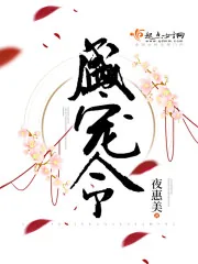 《盛宠令》小说封面