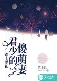 《锦上添花:君少的傻萌妻》小说封面