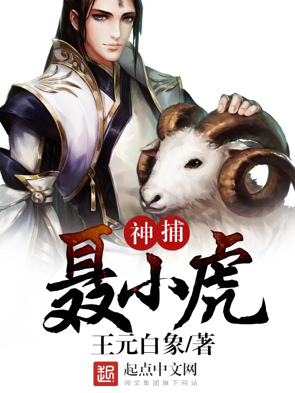 《神捕聂小虎》小说封面