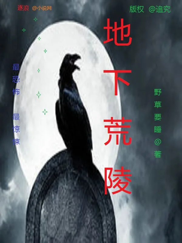 《地下荒陵》小说封面