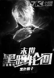 《末世黑暗轮回》小说封面
