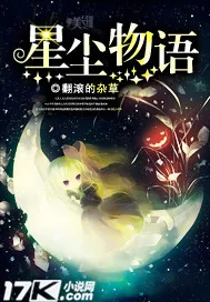 《星尘物语》小说封面
