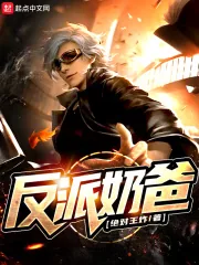 《反派奶爸》小说封面