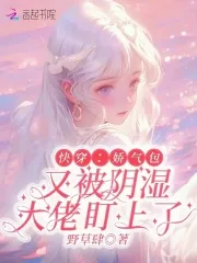 《快穿：娇气包又被阴湿大佬盯上了》小说封面
