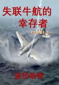 《失联牛航的幸存者》小说封面