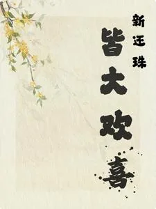 《新还珠之皆大欢喜》小说封面