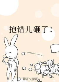 《抱错儿砸了!》小说封面