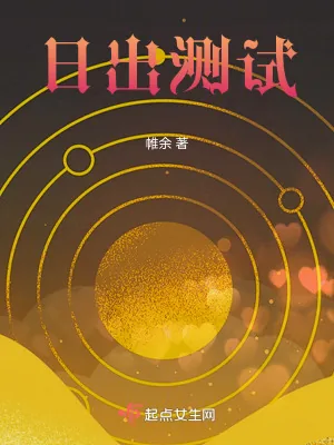 《日出测试》小说封面