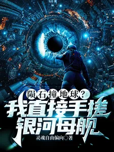 《陨石撞地球？我直接手搓银河母舰》小说封面