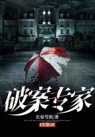 《破案专家》小说封面
