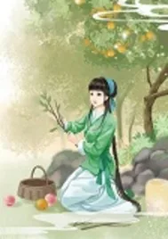 《长媳的农家生活》小说封面