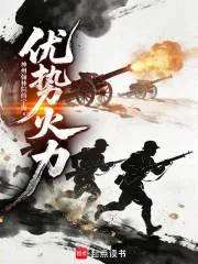 《优势火力》小说封面