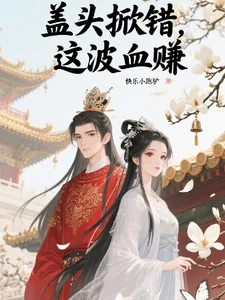 《盖头掀错，这波血赚》小说封面