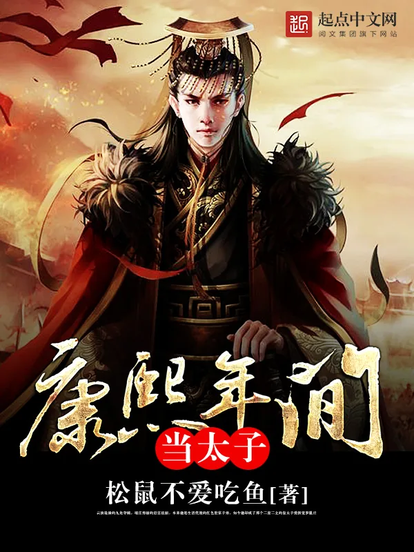 《康熙年间当太子》小说封面