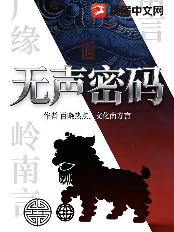 《无声译码》小说封面