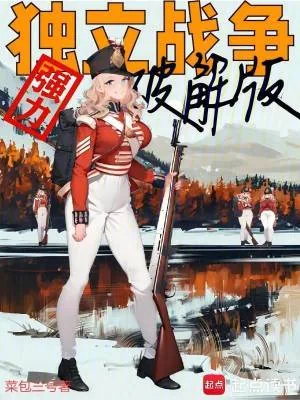 《独立战争强力破解版》小说封面