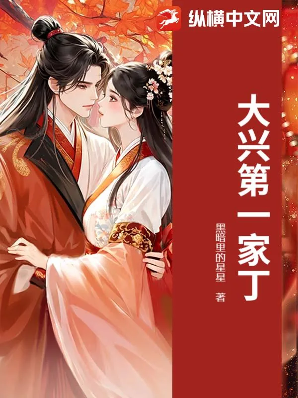 《大兴第一家丁》小说封面
