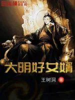 《大明好女婿》小说封面