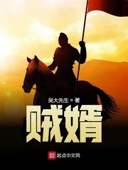 《贼婿》小说封面